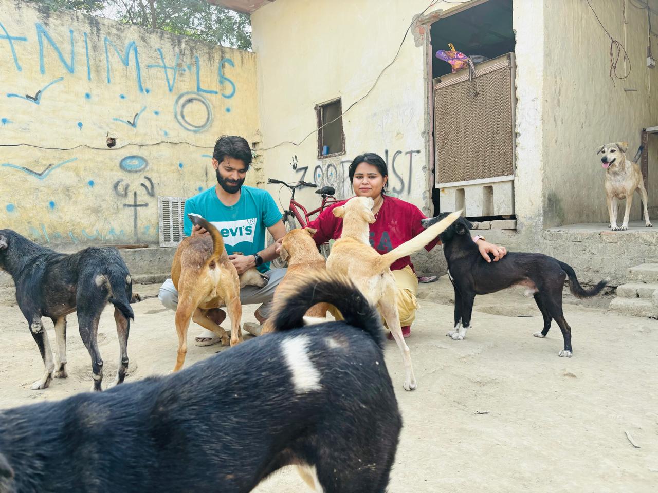 Animals at our shelter